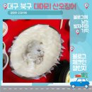 [블챌][체크인 챌린지]대머리산오징어, 내돈내산 솔직후기, 오징어에 진심인 오징어 회 맛집[대구맛집여행]