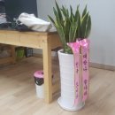 사라세탁소 이미지