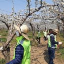 농협네트웍스 이미지