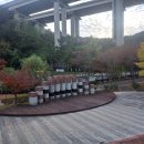 사라수변공원 이미지