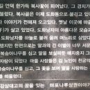 낭자김 이미지