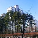판교한림공인중개사사무소 이미지
