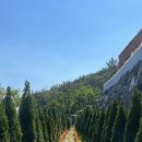 히딩크모텔 이미지