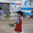 연세파워태권도 이미지