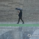 소나기 이미지