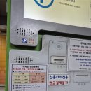 메이저리치안 이미지