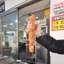 안녕;꽈배기 이미지