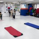 염창 나토얀 태권도 이미지