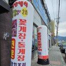 돌산식당본점 | 여수 돌산 게장 맛집 낭만별식 본점 정식 후기
