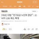 [속보] 대법 “전기요금 누진제 정당”…소비자 소송 패소 확정 이미지