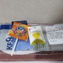 스텔라 호스텔 이미지