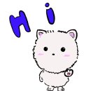 [서울 중구 청계천] 올해에도 돌아온 빛초롱 축제! 근데 야생의 포켓몬이 떴다?!