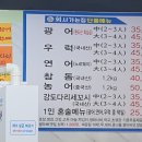2023.09 화성 남양 포장 회 맛집 회사가는집 내돈내산 후기 ( 화성시청맛집 )