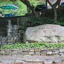 청계사 - 891 | 청계사