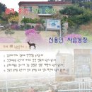 복용농장 이미지