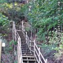 바우길 9구간 이미지