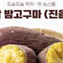 합천면가 이미지