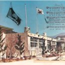 서부초등학교 이미지