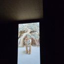 에스아트3관미술학원 | 반포/목동미술학원<까치호랑이>작품전시회 견학