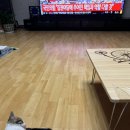 ㅇㅇㅇ국짐속보에 드르렁하는 우리집냥이들 보고가 이미지