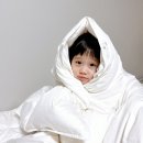 백송라벨 | 겨울이불 추천 왓츠인마이백 송가인이 인정한 클래식패브릭 구스이불 사용후기