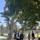 마이테니스코트 | 호주 멜버른 포크너 파크(Fawkner Park) 테니스 코트 이용 후기 및 예약 방법 (feat. 친구와 부부 테니스)
