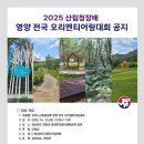 2025 산림청장배 영양 전국 오리엔티어링대회(10/25, 경북 영양) 이미지
