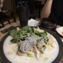 마루(MARU) | 브리즈번 시티 마루 (Maru), 워홀러의 솔직한 후기