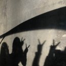 여시(yeosi) 이미지