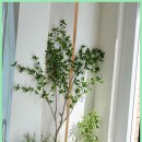 송도최고공인중개사사무소 이미지