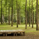 광교중앙로248번길 이미지