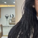 미도씨 트리트먼트 와칸 오일 헤어 에센스 추천