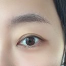 뷰티다이어리 | 🌸 주안속눈썹 맛집 발견! 커넥트 인천시민공원역점 후기