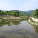 양수리 두물머리길 이미지