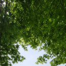 광주공원 노인복지관 이미지