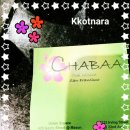 꽃나라분식 | 샌프란시스코 맛집 유니온스퀘어 타이음식점 CHABAA