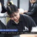 스텔라애견미용학원