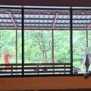 안덕민속한의원 이미지