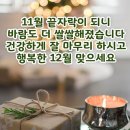 11월한달 수고하신 우리풀꽃지기님께.. 이미지