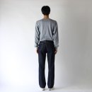 러스터(LUSTER) 이미지