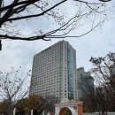 18 | 엉클영버 목동 토들러 클래식 콘서트 솔직후기 | 18개월 아기 반응·주차팁 총정리