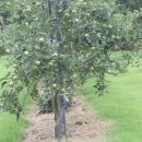 청해농장 이미지