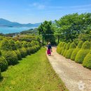 한국의 가위손이 만든 바다 위의 정원, 남해 토피아랜드 이미지