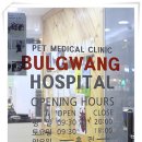 불광동물병원 이미지