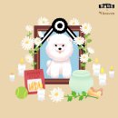 장례마트 이미지