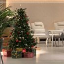 스탠다드 피트니스 부천송내 이미지