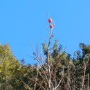 숲속나라 이미지