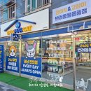 도그마캣작전
