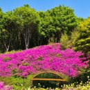 맘스터치 오류동역 남부점 이미지