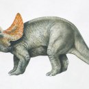 Gone in a Flash: New Fossil May Prove an Asteroid Wiped Out the Dinosaurs 이미지